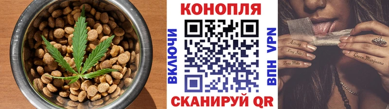 мориарти клад  Кулебаки  Cannafood конопля  сколько стоит 