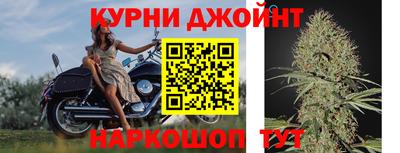 прущие крисы Кимры