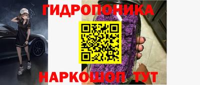 мяу мяу мука Кингисепп