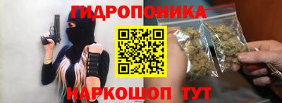прущие крисы Кимры