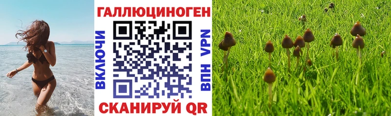 Псилоцибиновые грибы GOLDEN TEACHER где купить наркоту Кулебаки