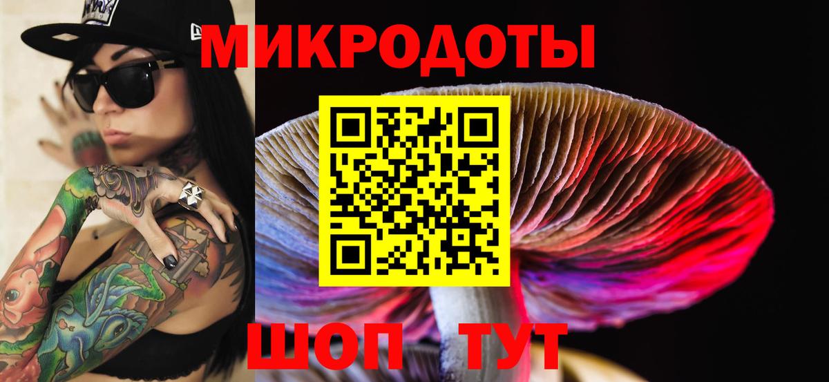 Галлюциногенные грибы Psilocybine cubensis  Псилоцибиновые грибы мицелий  Вход с VPN  Кулебаки 
