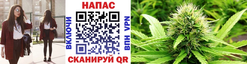 МАРИХУАНА сатива  Кулебаки 